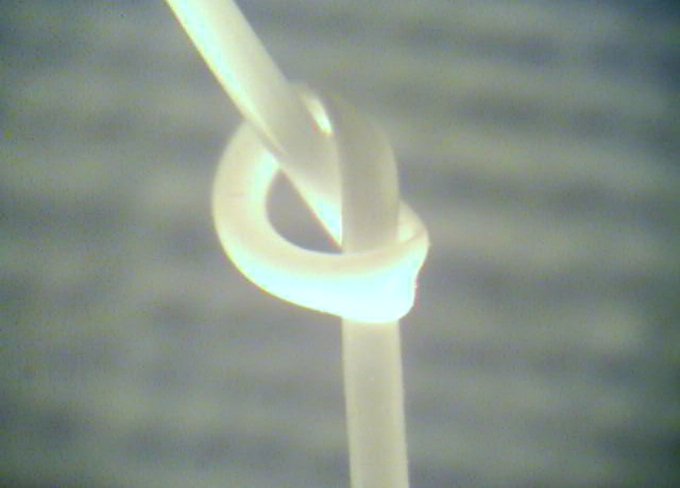 knot on hollow fiber membrane